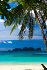 Fototapeta na wymiar Coconut Getaway Exotic Paradise