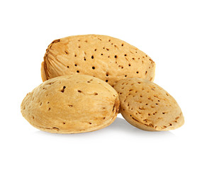 Almond nut in shell isolated on a white background.