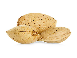 Almonds nuts in shell isolated on a white background.