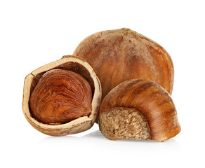 Hazelnuts isolated on a white background