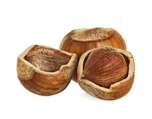 Hazelnuts isolated on a white background