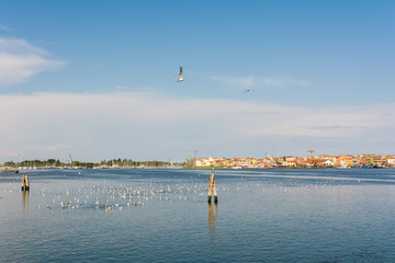 Hafen von Chioggia in Italien