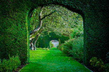 Wall murals Garden Green plant arches in english countryside garden