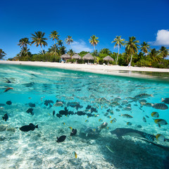 Tropical island under and above water