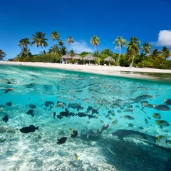 Fototapete Sommer Tropische Insel unter und über Wasser
