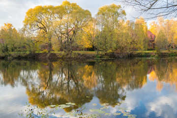 Autumn landscape with water.