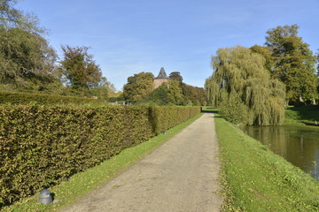 Fototapeta na wymiar La haie qui longe la roseraie au parc d'Enghien