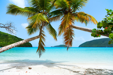 Obraz na płótnie Canvas Beautiful tropical beach at Caribbean