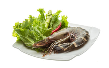 Tiger prawn