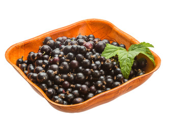 Black currant