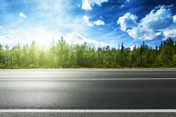 asphalt road and forest