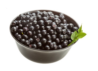 Blueberry