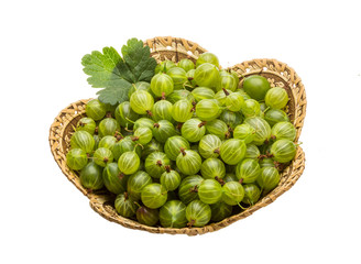 Gooseberry