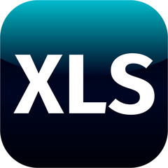 File XLS sign icon. Download document. Blue button