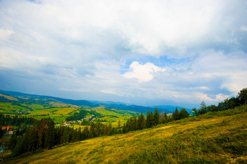 Fototapeta premium summer in the mountains. Carpathian, Ukraine, Europe.