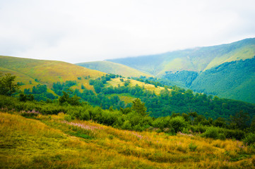 Fototapeta na wymiar summer in the mountains. Carpathian, Ukraine, Europe.