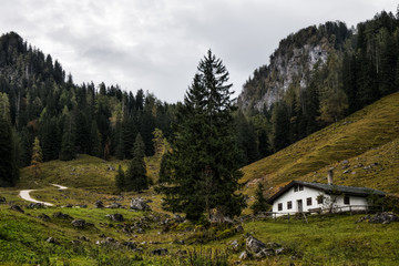 Fototapeta na wymiar Mountain Pasture at the sea of Kings in Berchtesgaden