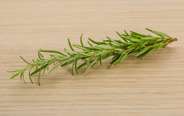 Rosemary plant