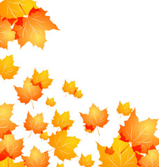Naklejka na ściany i meble Autumn background with flying maples