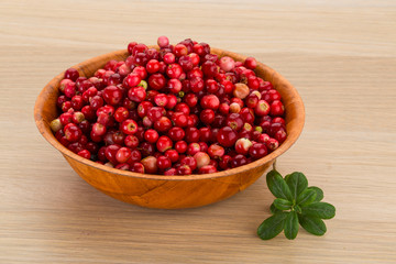 Cowberry