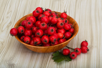 Hawthorn
