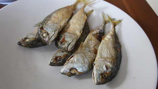 mackerel fried