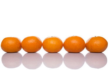 A row of Mandarin orange fruit over white background