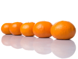 A row of Mandarin orange fruit over white background