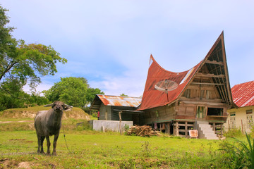 Traditional Batak house on Samosir island, Sumatra, Indonesia