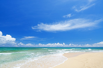 Fototapeta na wymiar コマカ島の美しいビーチ