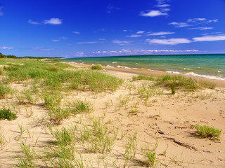 Lake Michigan Beach Landscape