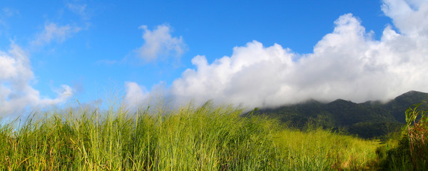 Mount Liamuiga Landscape Saint Kitts