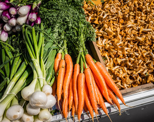 Carrots, Onion and Mushrooms on Market Place