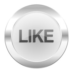 like chrome web icon isolated
