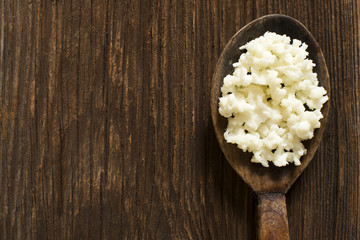 Kefir grains