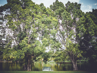 Green park with a bench, Retro filter effect added