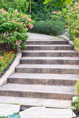 outdoor stairs in the garden