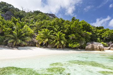 Palm Trees And Perfect Beach, La Digue, Seychelles