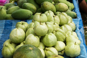 guava,fruits