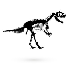 Fototapeta na wymiar The skeleton of a dinosaur. Raster