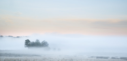 Beautiful thick fog sunrise Autumn Fall countryside landscape wi - obrazy, fototapety, plakaty