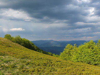 Obraz premium В предверии грозы