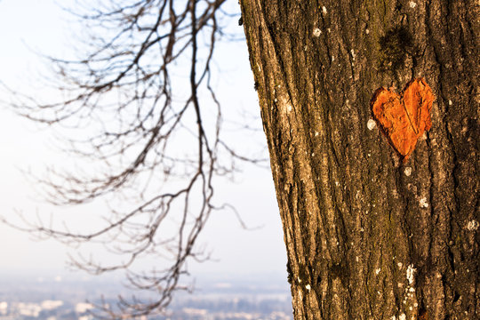 herziger baum