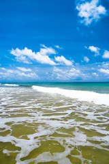 Divine Coastline Sunshine Surf