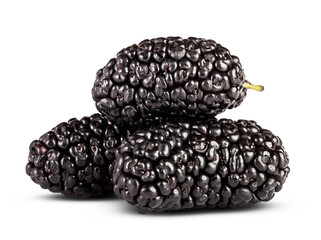 Fresh mulberry