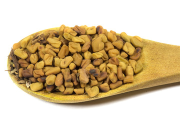 Fenugreek seeds