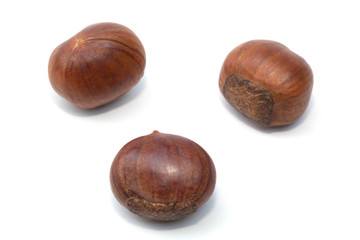Chest nut roast isolated on the white background