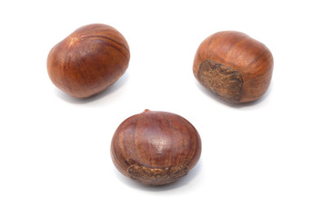 Chest nut roast isolated on the white background
