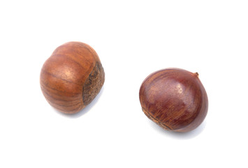 Chest nut roast isolated on the white background