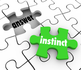 Instinct Puzzle Piece Find Answer Solve Puzzle Gut Feeling Solut